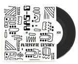RAS G & THE AFRIKAN SPACE PROGRAM